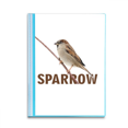 thumbnail image 1 of Sparrows Birds Animals Food Wait Book Sheet Protectors Portfolio Binder Folder, 1 of 3