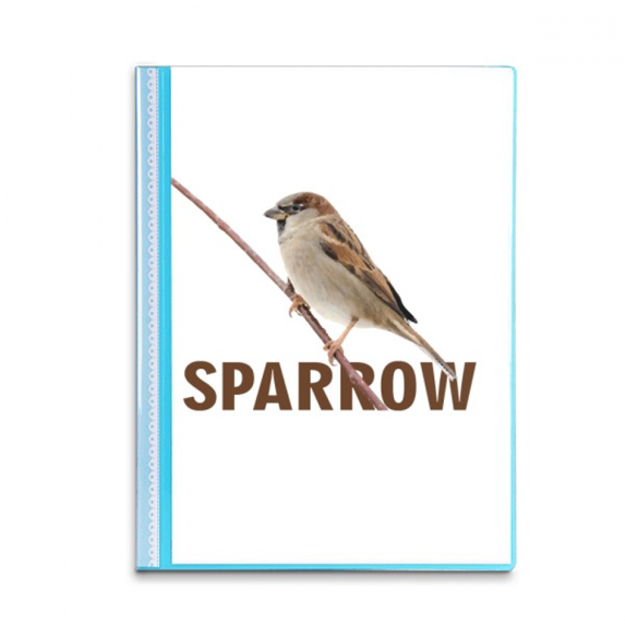 Sparrows Birds Animals Food Wait Book Sheet Protectors Portfolio Binder Folder