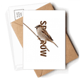 thumbnail image 1 of Sparrows Birds Animals Food Wait Postcards Envelopes Blank Note Cards Mailing, 1 of 4