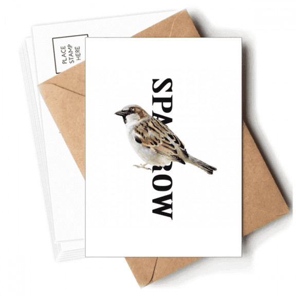 Sparrows Birds Food Watch Postcards Envelopes Blank Note Cards Mailing