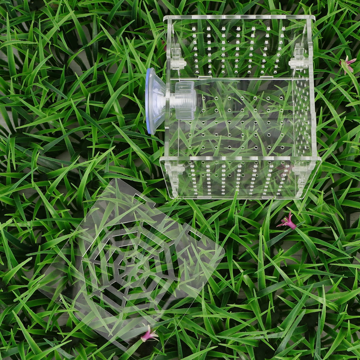 Sparsain Clear Acrylic Aquarium Fish Tank Isolation Box Fish Breeding ...