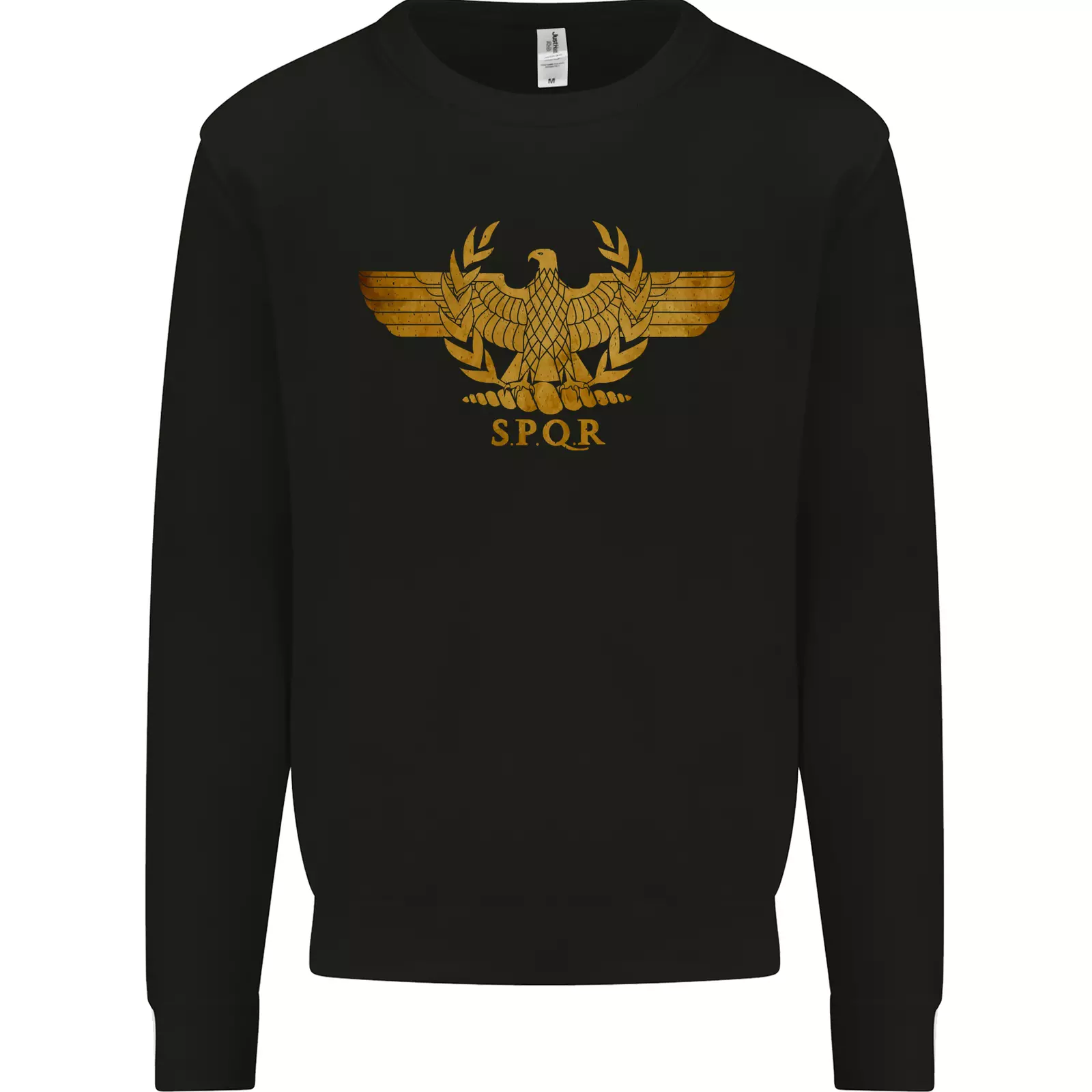 Sparta Eagle Gym Bodybuilding Training Mens Sweatshirt Jumper