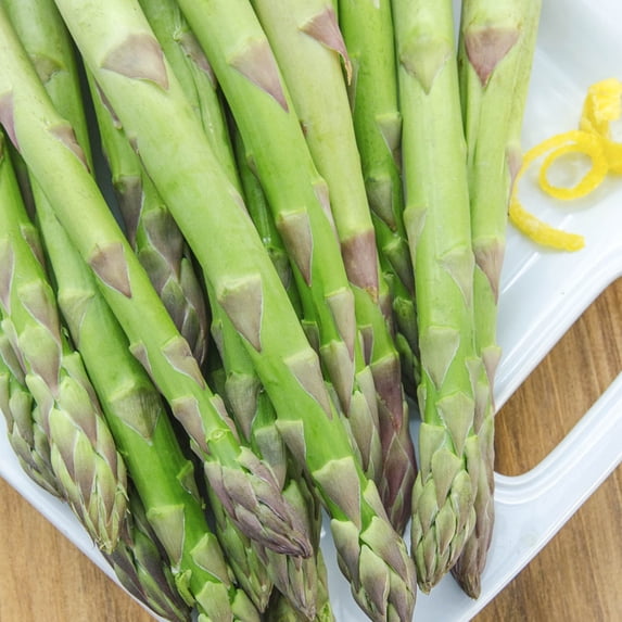 Spartacus Asparagus Standard Grade Dormant Bare Root Vegetable Starter Roots (10-Pack)