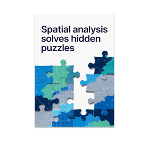 Spatial Analysis Solves Hidden Puzzles - GIS Analyst - 13x19 Poster Print