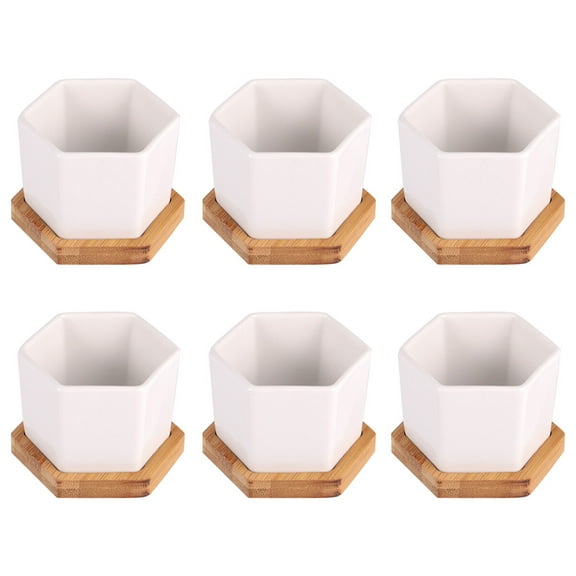 Spatiy 6 Ceramic Hexagon Ceramic Square Pots Porcelain Decorative Flowerpots with Trays