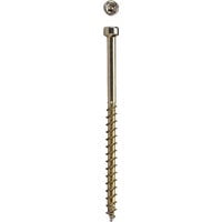 Spax 5042041 Power Trim No. 8 x 2.5 in. Star Round Head Trim Screws, Yellow- Pack of 100