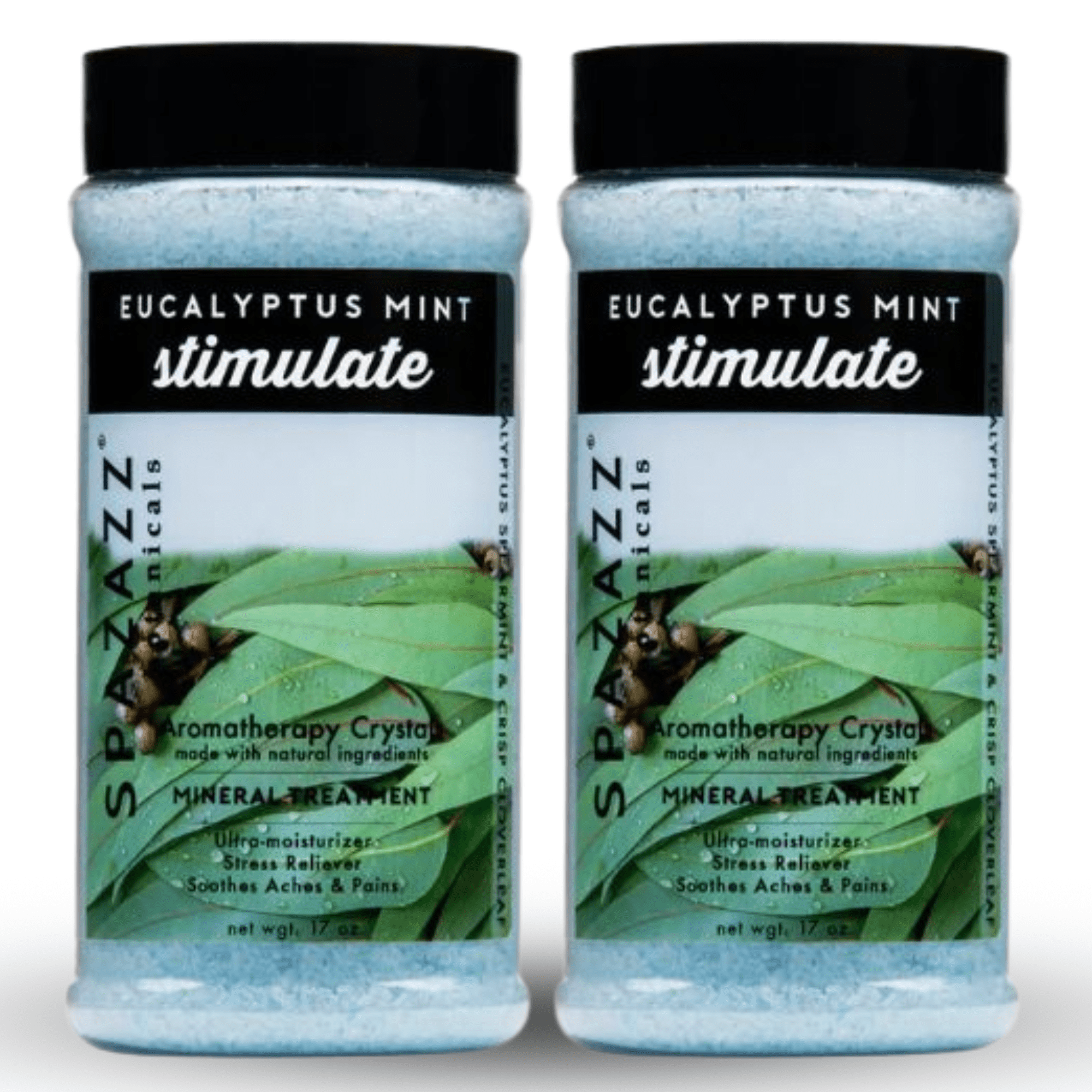 Spazazz Aromatherapy Spa and Bath Crystals Originals (Eucalyptus Mint 17 oz (2 Pack))