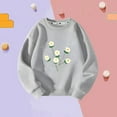 thumbnail image 1 of Spazoro Childs Girls Sweatshirts, Crew Neck Long Sleeve Fall Winter Graphic Toddlers Kids Tops for Girls Boys Gray Size 3 T, 1 of 3