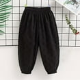 thumbnail image 1 of Spazoro Kids Boys Sweatpants, Solid Color Casual Elastic Waist Spring Loose Joggers for Child Boys Black Size 3-4T, 1 of 4