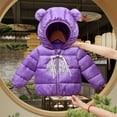 thumbnail image 1 of Spazoro Kids Girls Jackets, Cotton Zipper Fall Winter Long Sleeve Hooded Warm Coats for Child Girls Boys Purple Size 2 T, 1 of 3