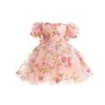 thumbnail image 1 of Spazoro Toddler Girls Mesh Dresses, New Style Solid Color Round Neck Puff Sleeve Princess Dress for Child Girls Pink Size 1-2T, 1 of 8