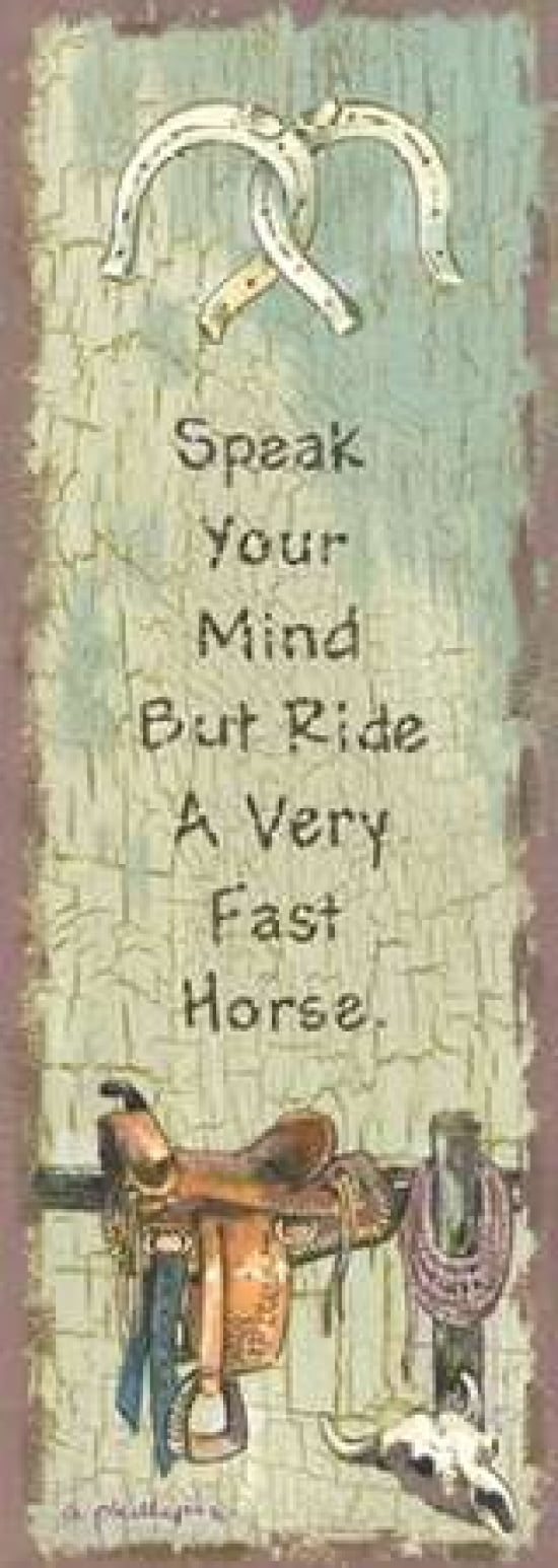 Speak Your Mind Canvas Art - Anita Phillips (24 x 48)
