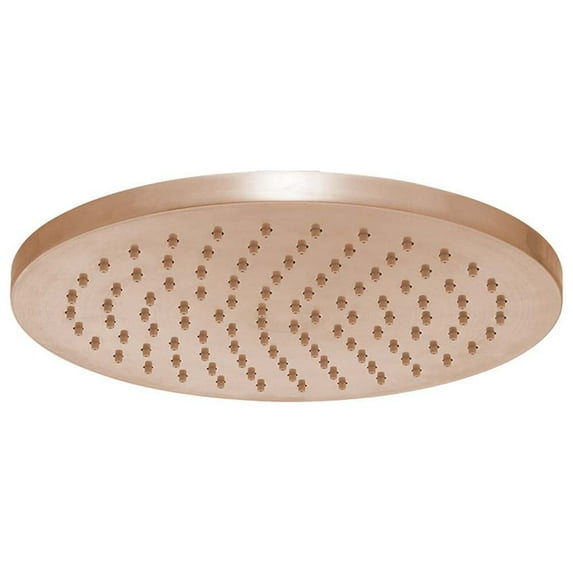 Speakman Neo S-2762 Rain Shower Head