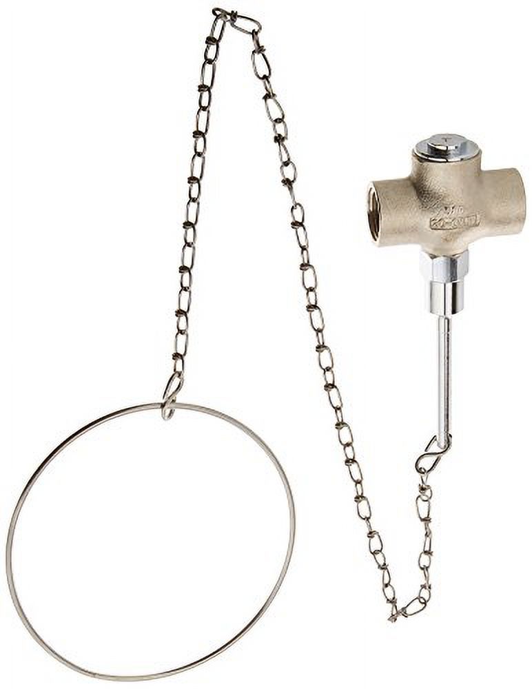 Speakman SE-901-CR Self-Closing Replacement Chain and Ring Faucet Valve ...