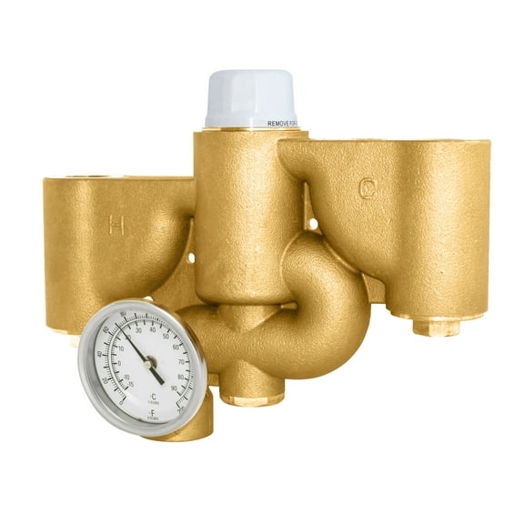 Speakman STW-350 Safe-T-Zone Thermostatic Mixing Valve