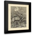 thumbnail image 1 of Specht, Friedrich 20x23 Black Modern Framed Museum Art Print Titled - Vintage Roe Deer II, 1 of 5
