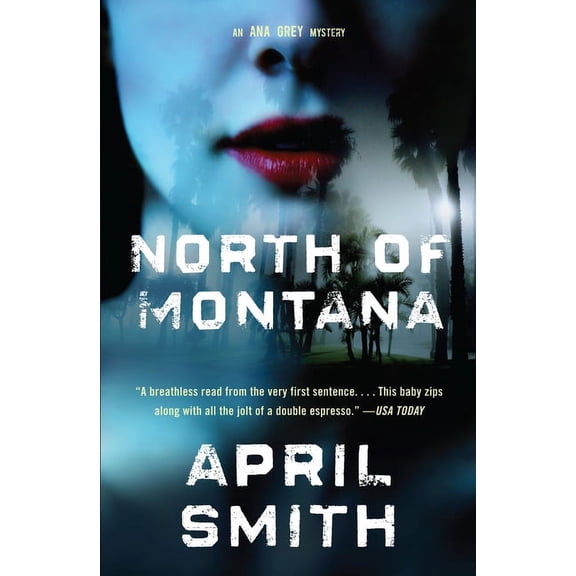 Special Agent Ana Grey North of Montana, Book 3, (Paperback)