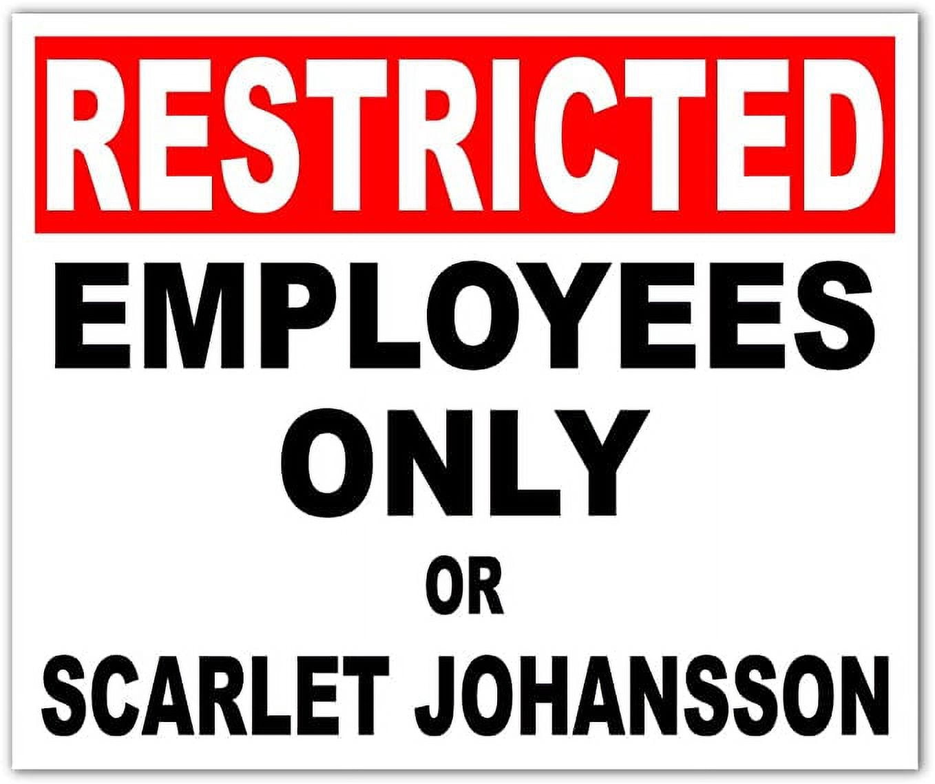 Special COMBO deal! Pack of (5) Five Restricted Employees Only or ...