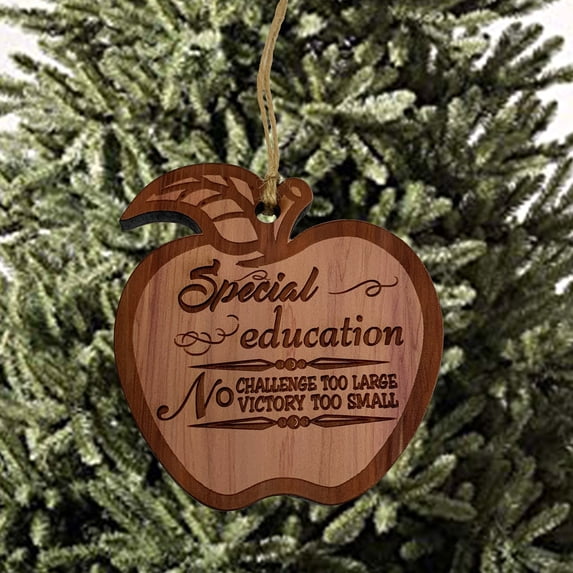 Special Education Ornament - Raw Cedar Ornament