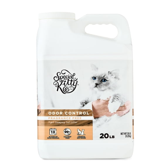 Special Kitty Clumping Clay Cat Litter, Unscented, 20 lbs Jug