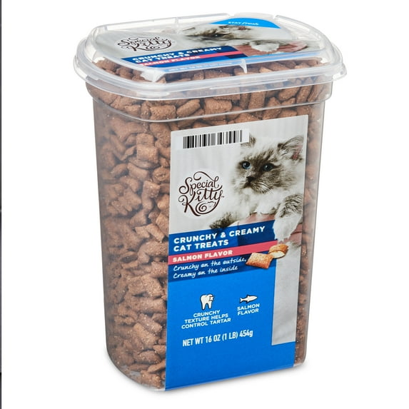 Special Kitty Crunchy & Creamy Salmon Flavor Cat Treats, 16 oz
