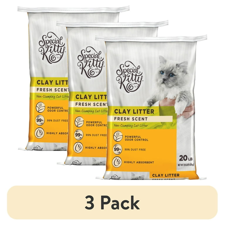 Non clumping kitty litter online