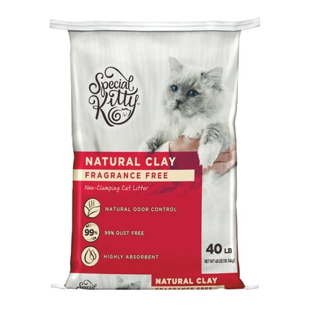 Special Kitty Non-Clumping Unscented Natural Clay Litter, 40 lbs