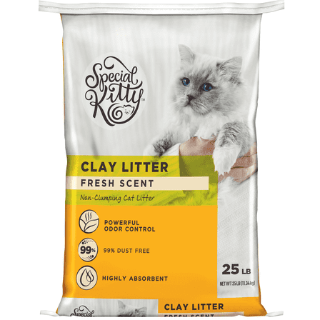 Special Kitty Premium Clay Non-Clumping Cat Litter, Fresh Scent, 25 lb