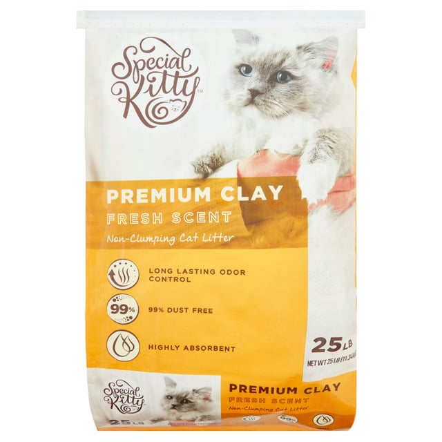 Special Kitty Premium Clay Non-Clumping Cat Litter, Fresh Scent, 25 lb