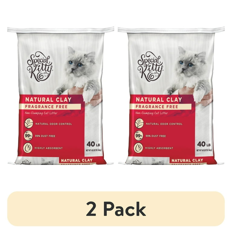 2 pack Special Kitty Unscented Non Clumping Natural Clay Litter 40 lbs Walmart