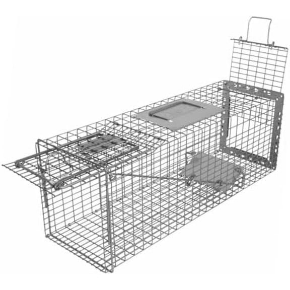 Special PRO-24 Cage Trap with Rear Release Heavy Duty Mesh Snare by Wildlife Control Supplies Safe and Effective Pest Control for Commercial and Residential Use Great for Barns, Garages & Sheds