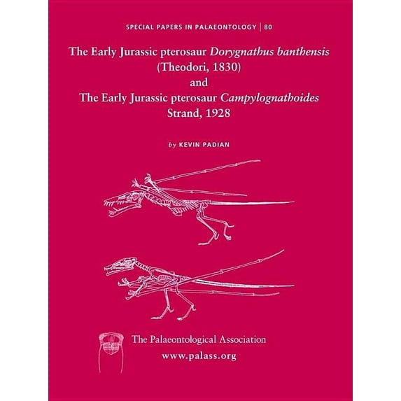 Special Papers in Palaeontology: The Early Jurassic Pterosaur Dorygnathus Banthensis (Theodori, 1830) and the Early Jurassic Pterosaur Campylognathoides Strand, 1928 (Paperback)