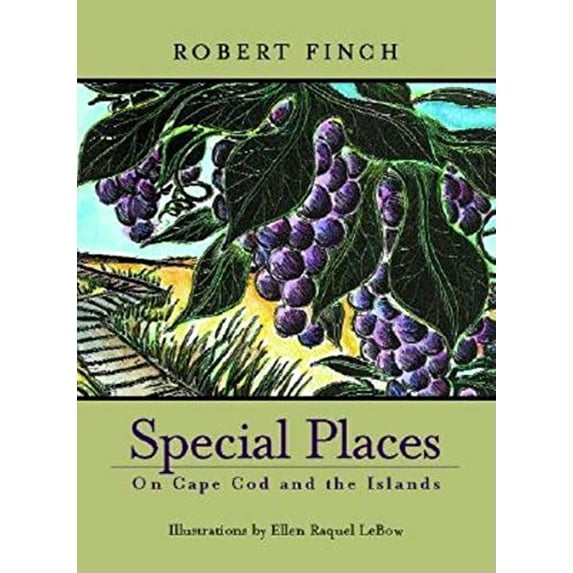 Pre-Owned Special Places on Cape Cod & Islands (Paperback) by Finch Robert