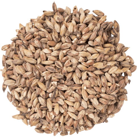 Special Roast Malt 50L for Brewing Specialty Malted Barley for Beer Making, Home Brewing & Toasted Grain Recipes 1 lb - CRUSHED (Pre-Milled)