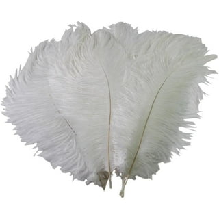 10-12 Inch Rooster Feathers, 50 Pack Bulk Natural Feathers Style 1 - 10-12  Inch - On Sale - Bed Bath & Beyond - 38456647