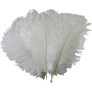 Ostrich Feather Spad Plumes 13-16 (White) for Sale Online