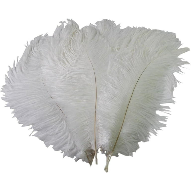 Special Sale Genuine Ostrich Feathers Wholesale Bulk 12 16