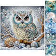 thumbnail image 1 of Special Shape Diamond Art Kits for Adults Beginners 5D Diamond Painting Kits DIY Gem Art Crystal Rhinestones Painting Kit for Adults Home Wall Decor,C, 1 of 7