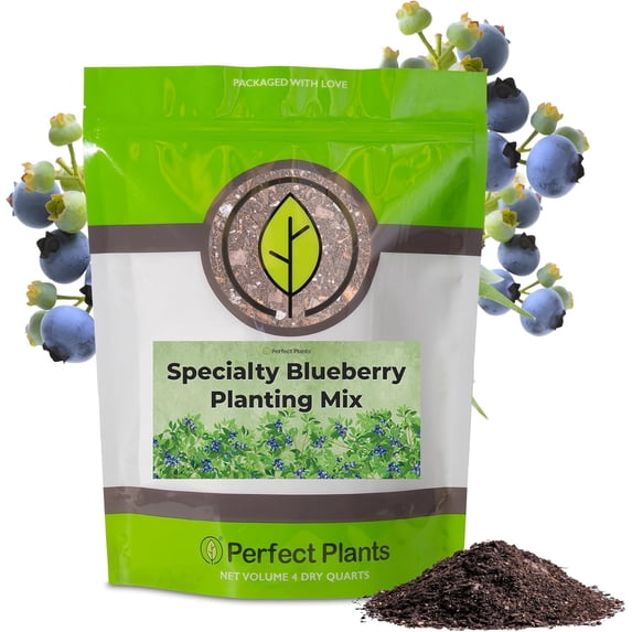 Specialty Blueberry Potting Mix by Perfect Plants | Organic Premium Mix | Use with Blueberry's, Raspberry, or Other Fruit Shrubs (4qt)