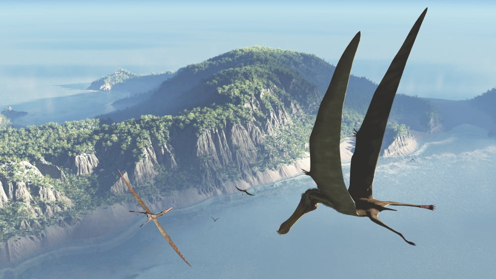 Species from the genus Anhanguera soar 105 million years ago over what is today Brazil Canvas Art - Walter MyersStocktrek Images (38 x 22)