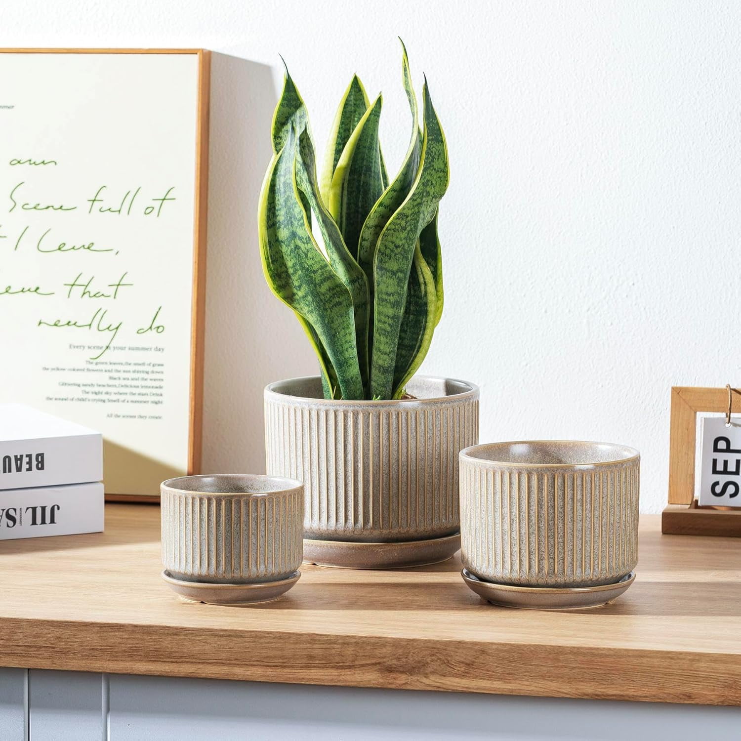 Speckle Gray Ceramic Plant Pot Set of 3 with Saucers, 4.3-6.7 Inch Indoor Flower Pots with Drainage Holes and Pads, Decorative Striped Planter Set for House Plants and Gardening