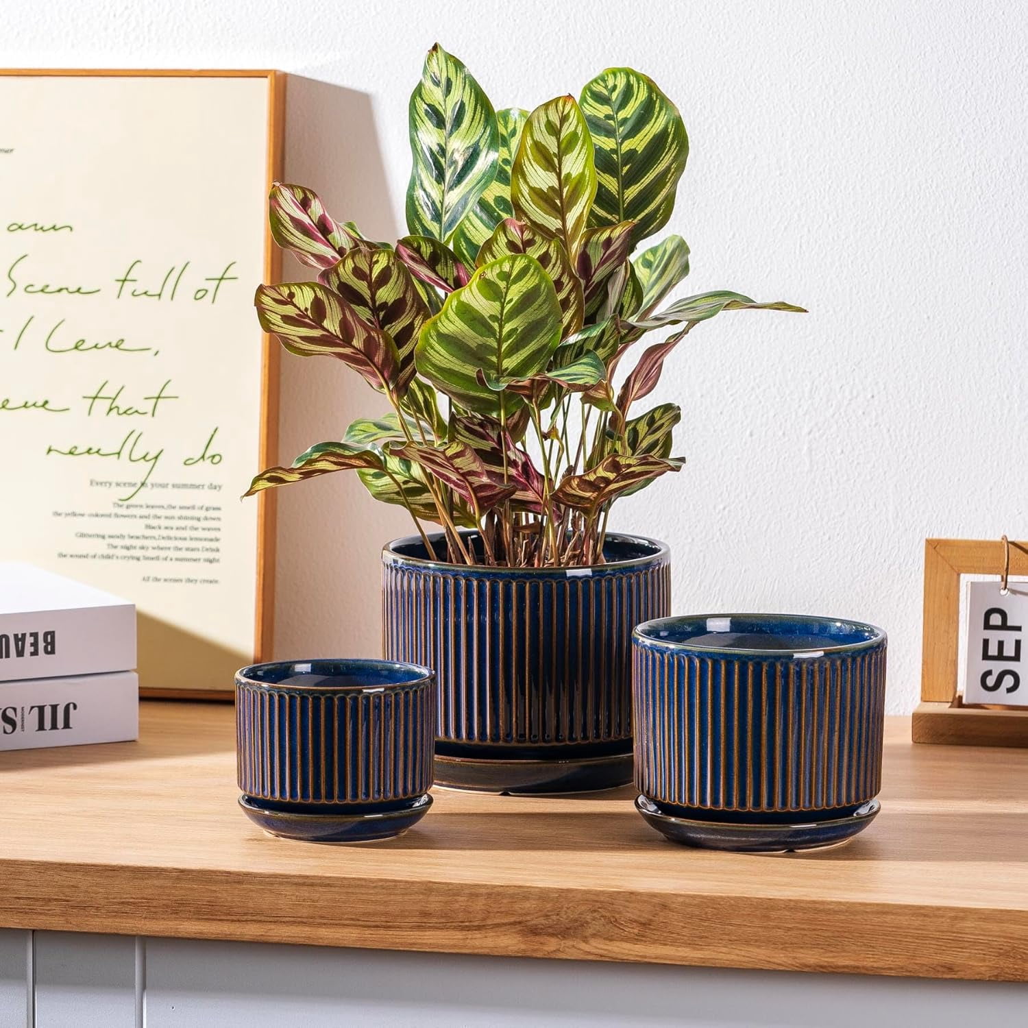 Speckle Gray Ceramic Plant Pot Set of 3 with Saucers, 4.3-6.7 Inch Indoor Flower Pots with Drainage Holes and Pads, Decorative Striped Planter Set for House Plants and Gardening