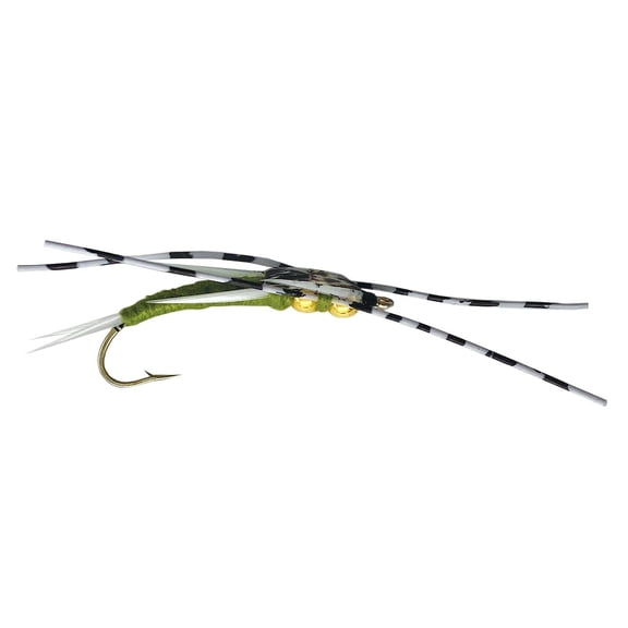Speckled Double Beaded Stonefly for Fly Fishing. Nymph Fly or Wet Fly 8, Olive