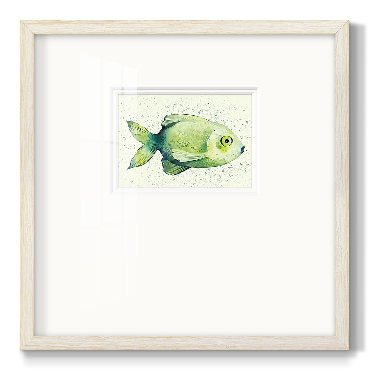 Speckled Freshwater Fish IIPremium Framed Print