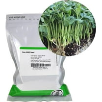 Speckled Pea Sprouting Seeds - 1 Lbs - Certified Organic, Non-GMO Green Pea Sprout Seeds - Sprouts & Microgreens