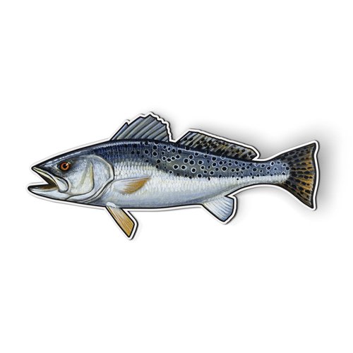 Speckled Trout - 5" Magnet for Car Locker Refrigerator