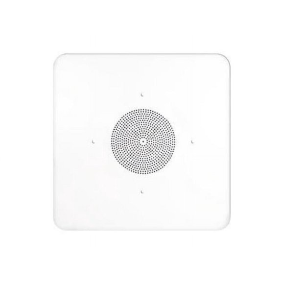 Speco Technologies In-Ceiling Speaker,24inLx3-1/2inH G86TG2X2C