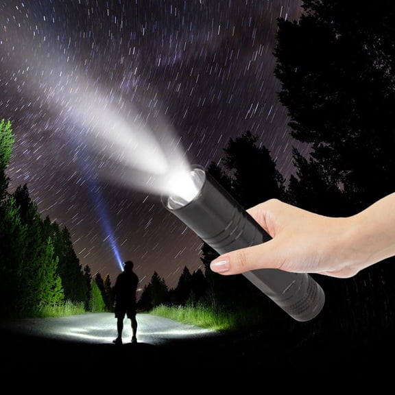 Specollect 1 Pcs Rechargeable Aluminum Alloy Mini Strong Flashlight, Compact and Portable Mini LED Keyring Lights with Built-in Battery Ideal for Everyday Carry and Emergencies Home And Outdoor Use