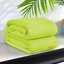 Specollect 3Pcs Solid Color Flannel Fleece Throw Blanket ,Velvet Throw Blanket for Couch Sofa Bed,Super Soft Plush Cozy and Lightweight Warm Bed Blanket for All Season 59.05x39.37 Inches 100*150cm