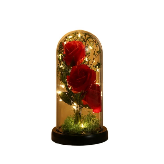 Specollect Clearance 1Pcs Flowers for Delivery, Forever Roses in Glass Dome with LED, Preserved Real Rose Home Decor, Anniversary Birthday Flower Gifts for Her Mothers Day-Spring Wedding Decor
